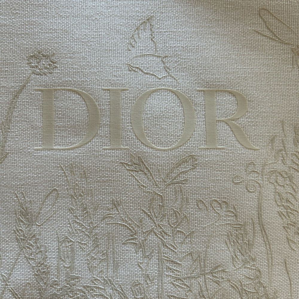 DIOR Limited Edition Promotional bag Brand New!